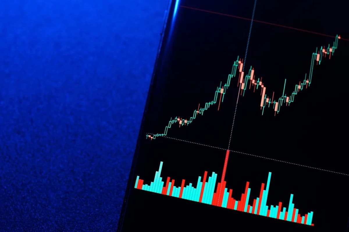 Fintech Stocks Rebound as Treasury Move Sparks Rally
